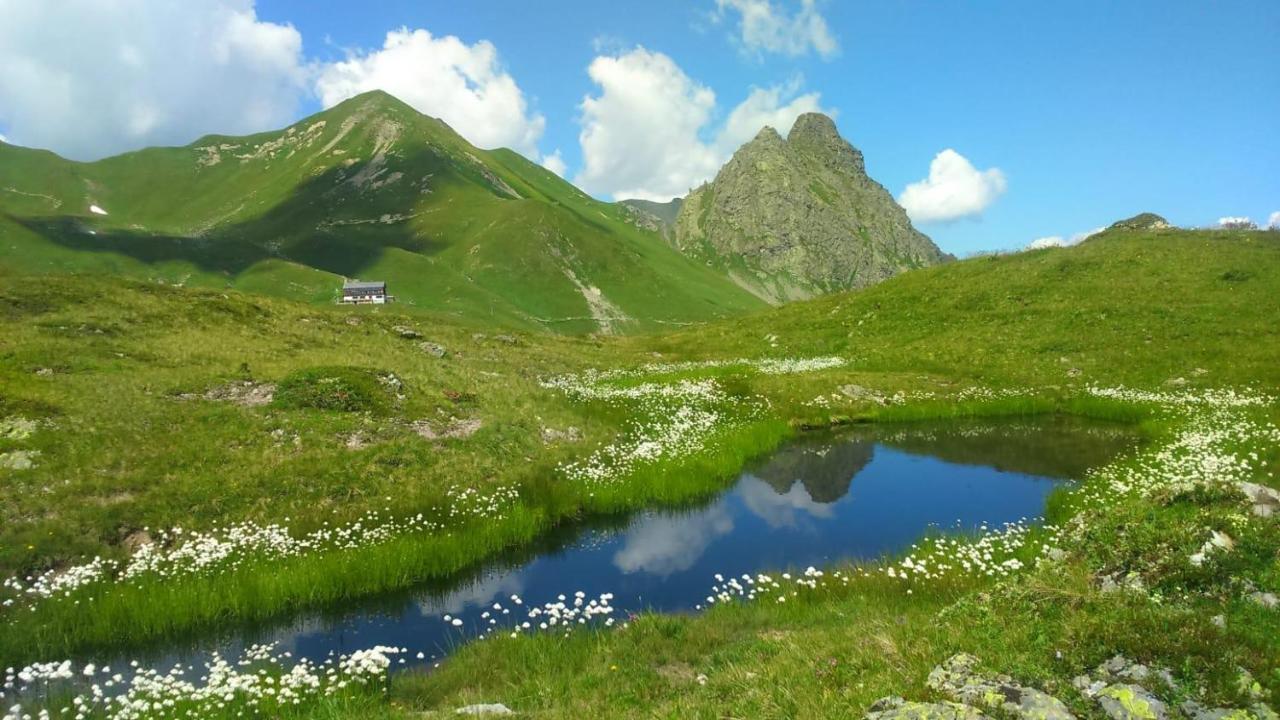 Alpenherz Apartments Sankt Gallenkirch Dış mekan fotoğraf